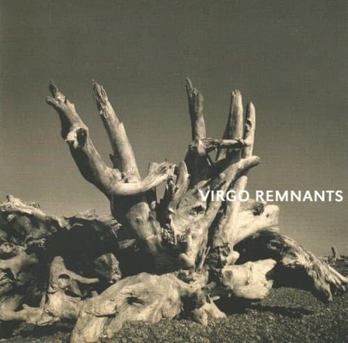 VIRGO - REMNANTS