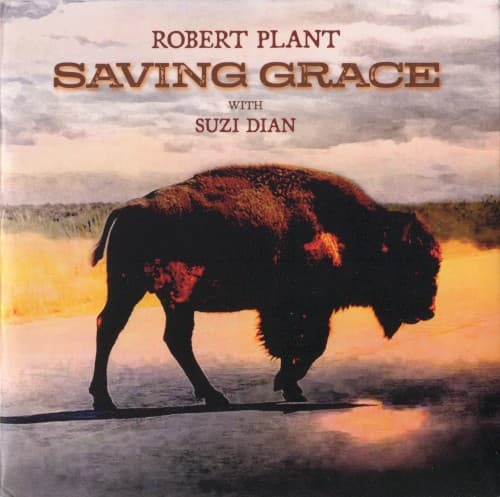 PLANT,ROBERT - SAVING GRACE