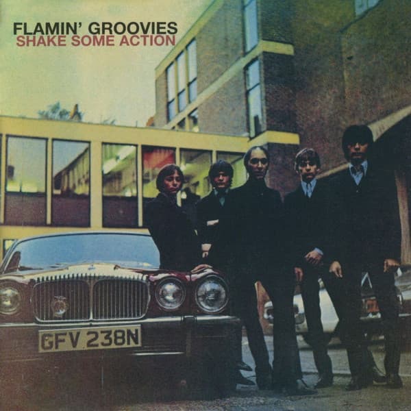 FLAMIN GROOVIES - SHAKE SOME ACTION