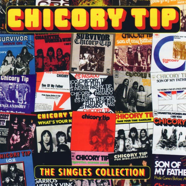 CHICORY TIP - SINGLES COLLECTION (W/BOOK)
