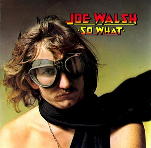 WALSH,JOE - SO WHAT
