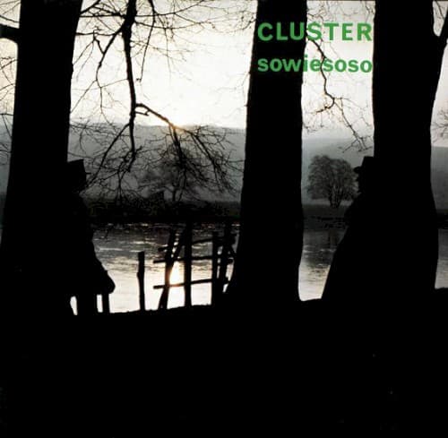 CLUSTER - SOWIESOSO (REIS)