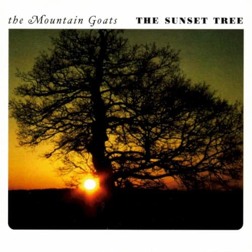 MOUNTAIN GOATS - SUNSET TREE (ANIV) (RMST)