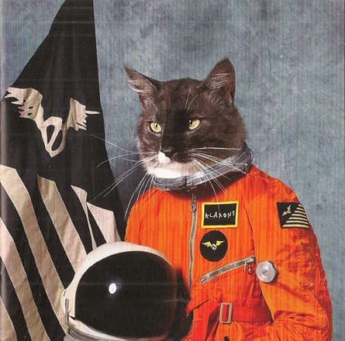 KLAXONS - SURFING THE VOID