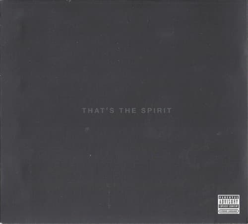 BRING ME THE HORIZON - THAT'S THE SPIRIT