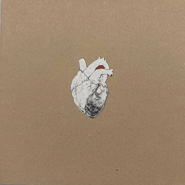 SWANS - THE BEGGAR