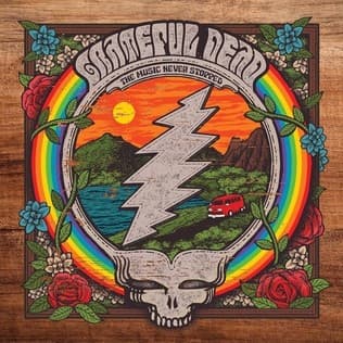 GRATEFUL DEAD - THE MUSIC NEVER STOPPED
