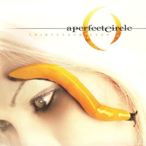 PERFECT CIRCLE - THIRTEENTH STEP