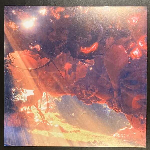 MURCOF - TWIN COLOR
