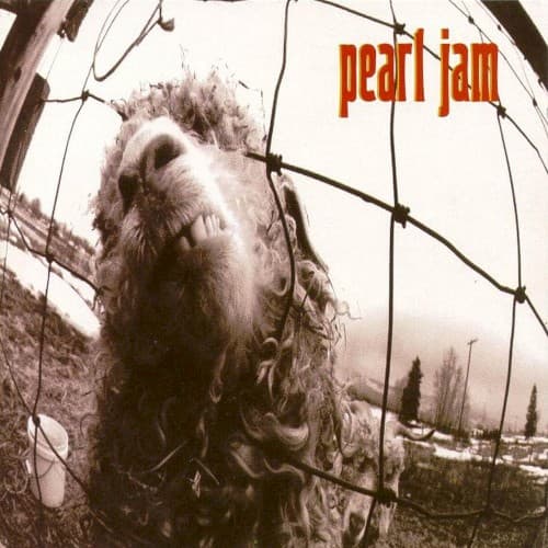 PEARL JAM - VS