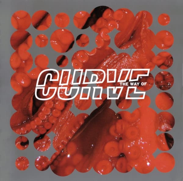 CURVE - WAY OF CURVE (UK)