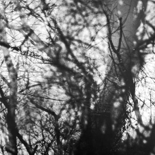 GROUPER - WAY THEIR CREPT