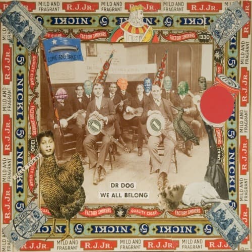 DR DOG - WE ALL BELONG
