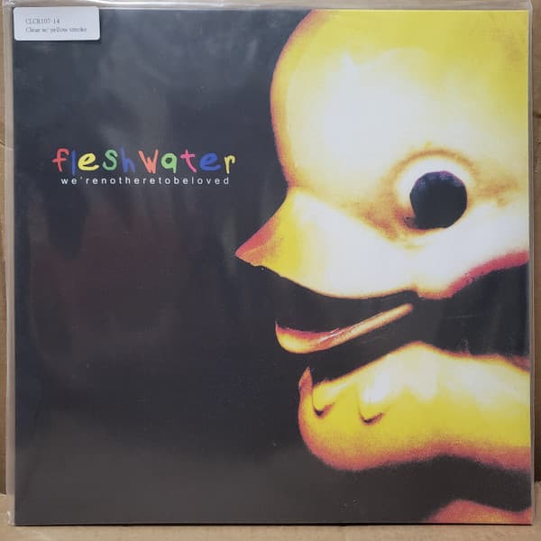 FLESHWATER - WE'RE NOT HERE TO BE LOVED