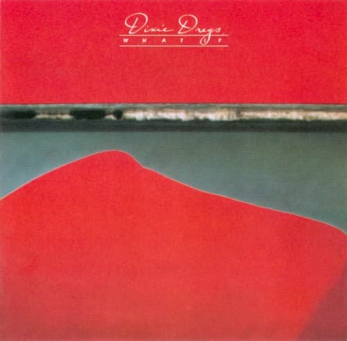 DIXIE DREGS - WHAT IF