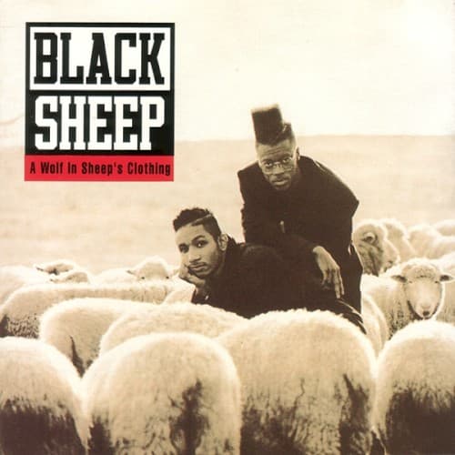 BLACK SHEEP - WOLF IN SHEEP'S CLOTHING