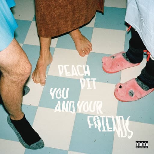 PEACH PIT - YOU AND YOUR FRIENDS (OFGV)
