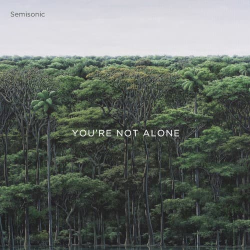 SEMISONIC - YOU'RE NOT ALONE