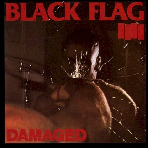 BLACK FLAG - DAMAGED