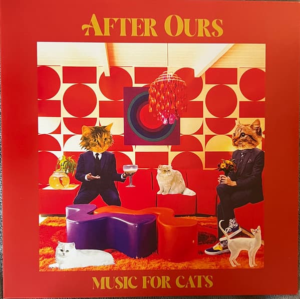AFTER OURS - MUSIC FOR CATS