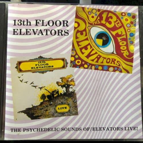 13TH FLOOR ELEVATORS - LIVE