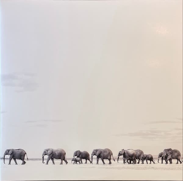 MATTHEWS,DAVE - WHERE ARE YOU GOING: THE SINGLES