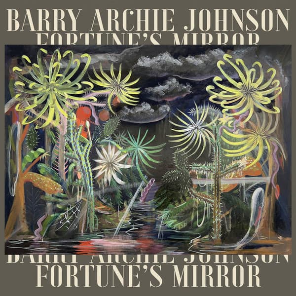 JOHNSON,BARRY ARCHIE - FORTUNE'S MIRROR