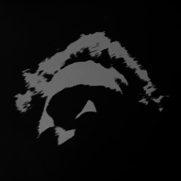 BOOKER, BENJAMIN - LOWER (CLEAR)