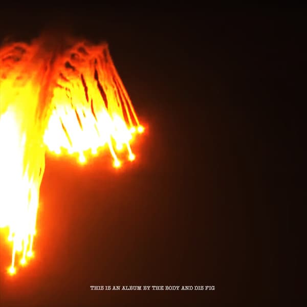 BODY / DIS FIG - ORCHARDS OF A FUTILE HEAVEN (COKE BOTTLE CLEAR)