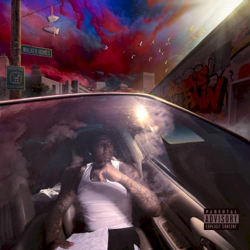 MONEYBAGG YO - A GANGSTA'S PAIN (TRANS RUBY)