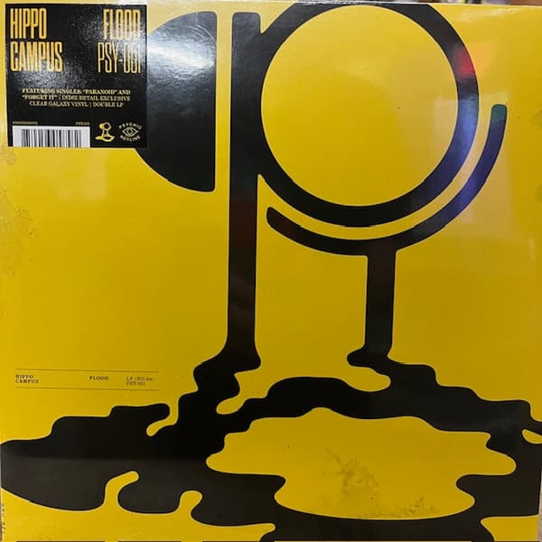 HIPPO CAMPUS - FLOOD (CLEAR GALAXY)