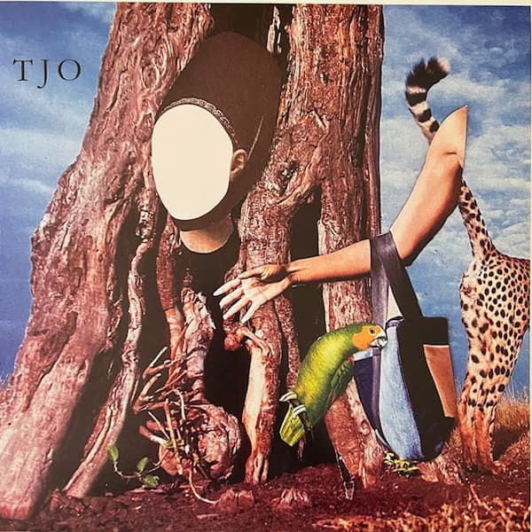 O'NEIL, TARA JANE - THE COOL CLOUD OF OKAYNESS