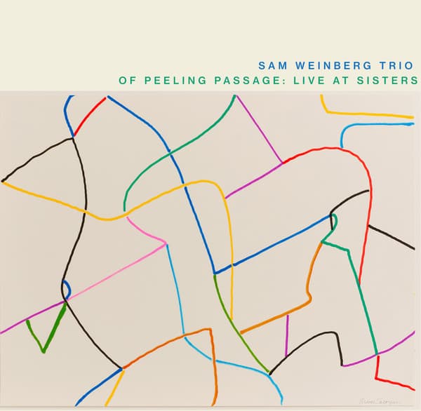 WEINBERG, SAM TRIO - OF PEELING PASSAGE: LIVE AT SISTERS
