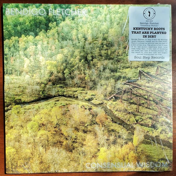 FLETCHER,BENDIGO - CONSENSUAL WISDOM (BEIG) (COLV)