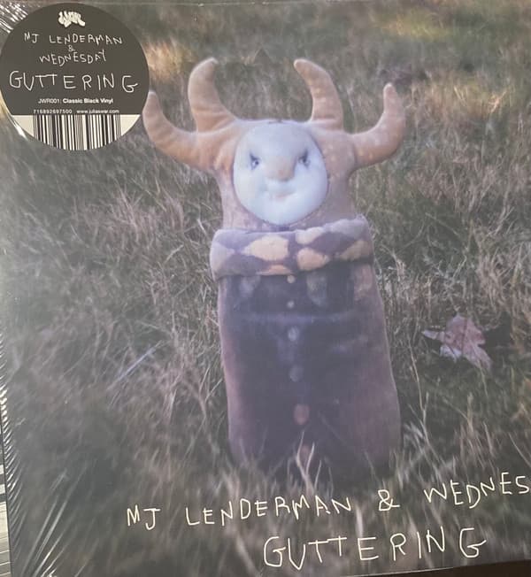 MJ LENDERMAN / WEDNESDAY - GUTTERING