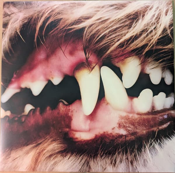 LUCIUS - LUCIUS (COLV) (ECOV)