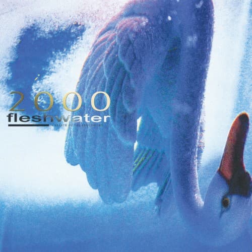 FLESHWATER - 2000: IN SEARCH OF THE ENDLESS SKY (FLUORESCENT PINK)