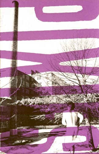 PIXIES - DEMOS: PURPLE TAPES '87 (PURPLE SMOKE)