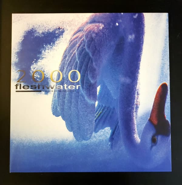 FLESHWATER - 2000: IN SEARCH OF THE ENDLESS SKY (BLUE) (COLV)