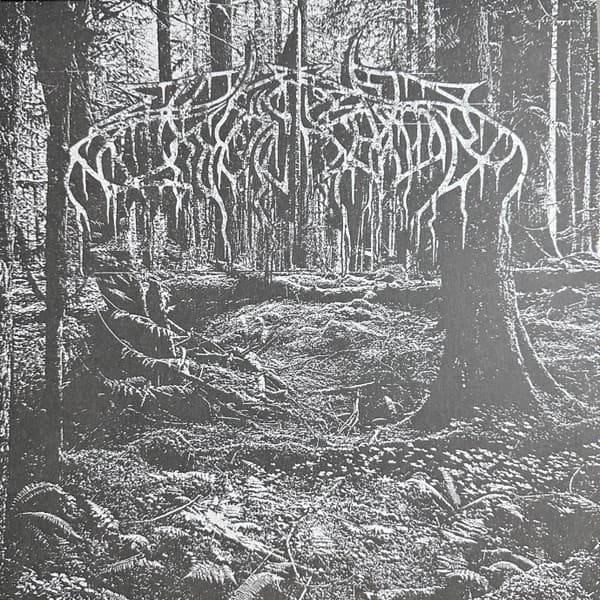 WOLVES IN THE THRONE ROOM - 2005 DEMO (BLACK ICE)