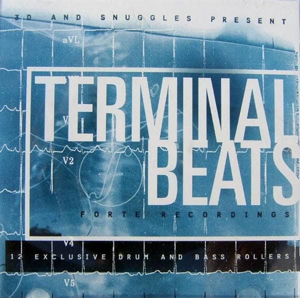 VARIOUS ARTISTS - 3D AND SNUGGLES PRESENT: TERMINAL BEATS