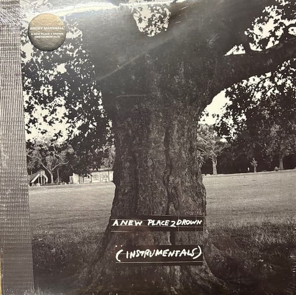 MARSHALL, ARCHY - A NEW PLACE 2 DROWN (INSTRUMENTALS)