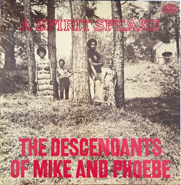 LEE, BILL / THE DESCENDANTS OF MIKE AND PHOEBE - A SPIRIT SPEAKS