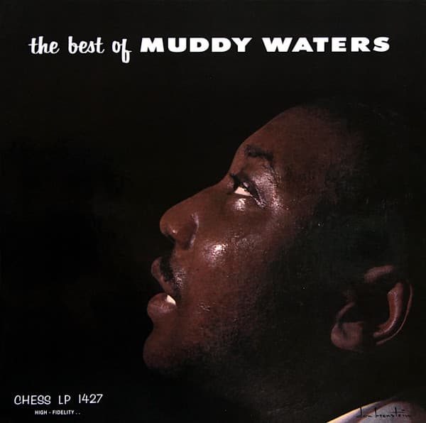WATERS,MUDDY - BEST OF MUDDY WATERS (CHESS 75 SERIES) (OGV)