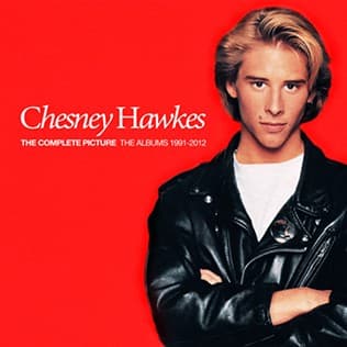 HAWKES,CHESNEY - COMPLETE PICTURE: THE ALBUMS 1991-2012 (W/DVD)