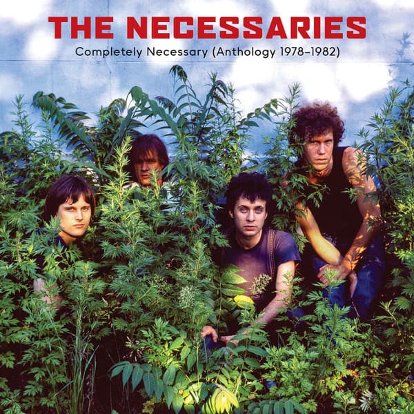 NECESSARIES, THE - COMPLETELY NECESSARY (ANTHOLOGY 1978-1982)