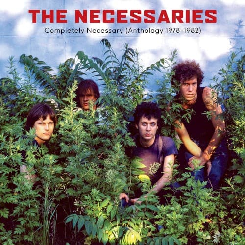 NECESSARIES, THE - COMPLETELY NECESSARY (ANTHOLOGY 1979-1982)