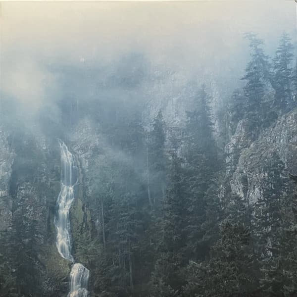 WOLVES IN THE THRONE ROOM - DIADEM OF 12 STARS