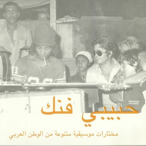 VARIOUS ARTISTS - HABIBI FUNK: AN ECLECTIC SELECTION / VARIOUS (UK)