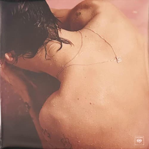 STYLES,HARRY - HARRY STYLES (GATE) (OGV) (WB) (DLCD)